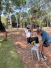 Thumbs/tn_2024-10-22 12 01 27.jpg